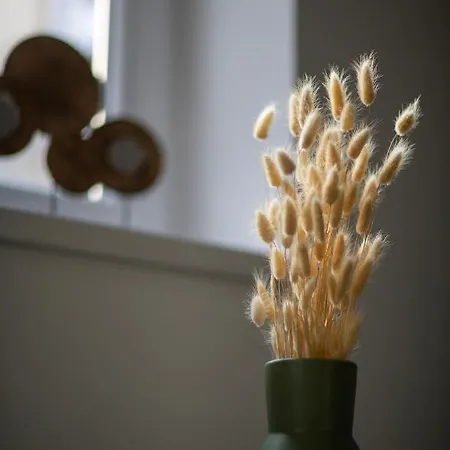Lh Gallery Lejlighed *